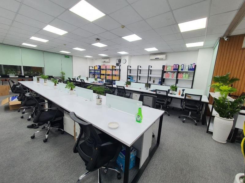 Top 10 Công Ty Kiểm Toán Uy Tín Nhất Tại Đà Nẵng Hiện Nay