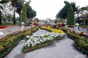Top 10 Địa Điểm Vui Chơi, Giải Trí, Xem Phim Tại TP. Vinh, Nghệ An