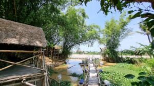 Top 6 Địa Chỉ Câu Cá Giải Trí Nổi Tiếng Nhất Tỉnh Khánh Hòa