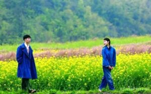 chuyện tình cây táo gai