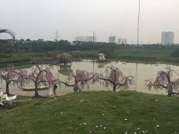 hồ câu an vũ