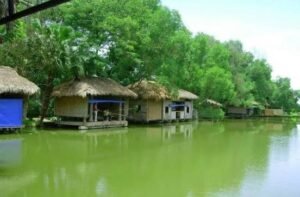 hồ câu bóng mát