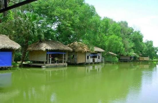 hồ câu bóng mát