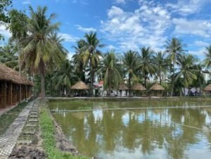 hồ câu cá ao sen