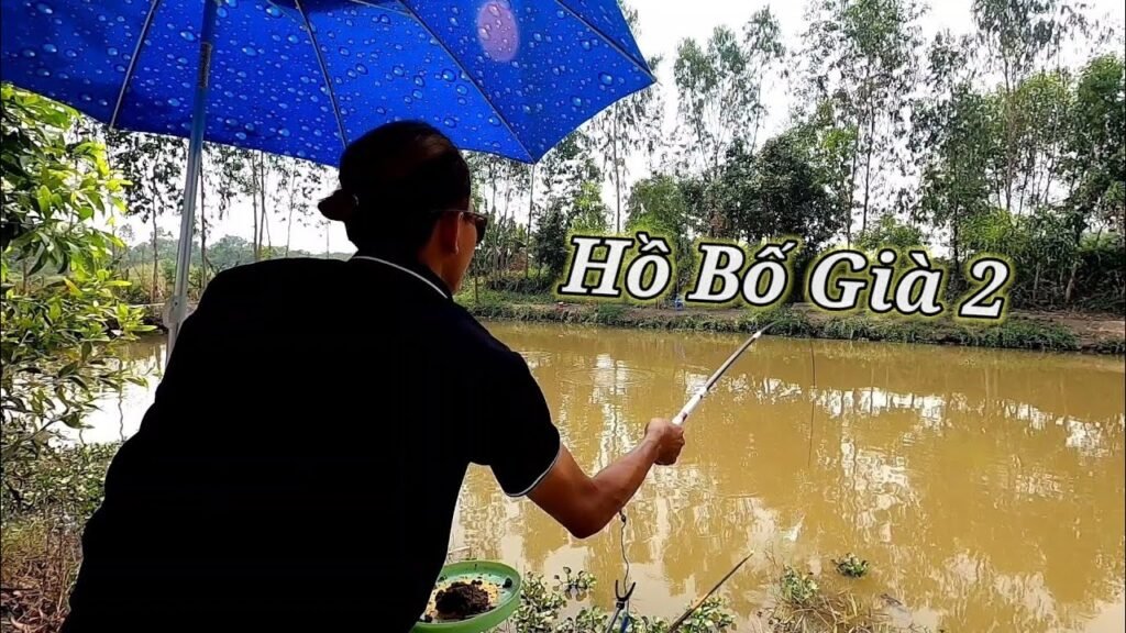 hồ câu cá bố già 2