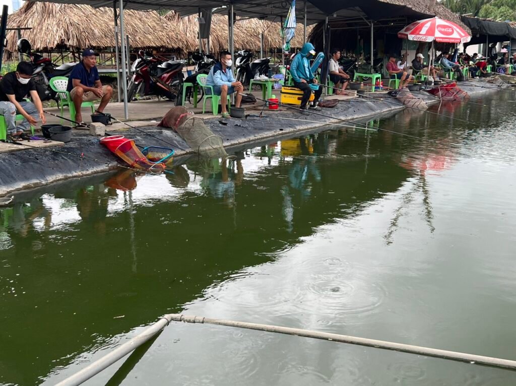 hồ câu cá giải trí 36