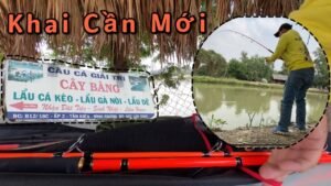 hồ câu cá giải trí cây bàng