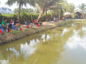 hồ câu cá giải trí cây dừa