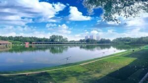 hồ câu cá giải trí hải đen