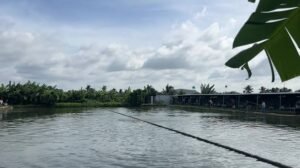 hồ câu cá giải trí nhựt thiện