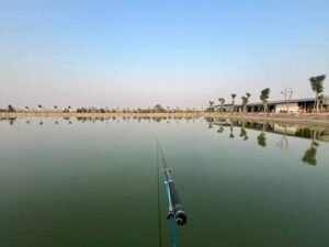 hồ câu cá giải trí phương anh