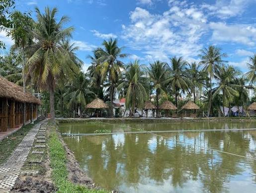 hồ câu cá giải trí sen