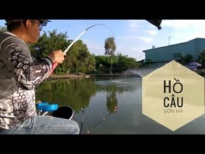 hồ câu cá giải trí sơn hà