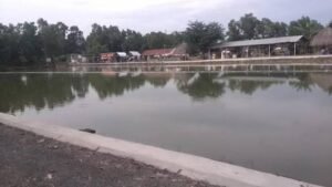 hồ câu cá giải trí thanh bình 2